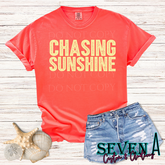 Pastel Chasing Sunshine