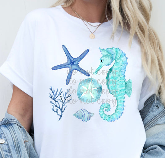 Sea life